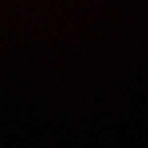 Meet your Posher, Carl